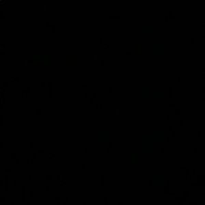 Meet your Posher, Daeja